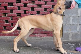 IMG_15921.jpg (208.25 КБ, Просмотров: 1877) IMG_15921.jpg