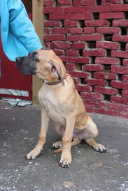 IMG_16131.jpg (202.17 КБ, Просмотров: 1867) IMG_16131.jpg