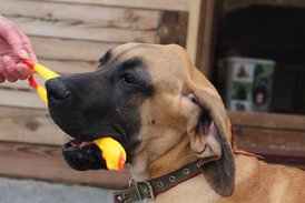 IMG_16241.jpg (124.52 КБ, Просмотров: 1877) IMG_16241.jpg