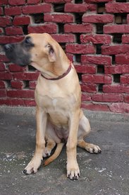 IMG_15651.jpg (112.21 КБ, Просмотров: 1875) IMG_15651.jpg