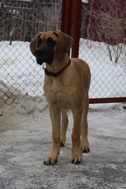 IMG_15741.jpg (156.9 КБ, Просмотров: 1875) IMG_15741.jpg