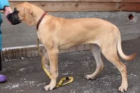 IMG_154111.jpg (162.82 КБ, Просмотров: 1875) IMG_154111.jpg