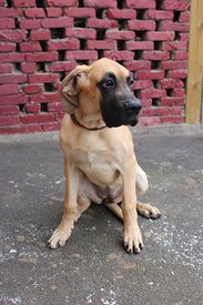 IMG_156711.jpg (101.34 КБ, Просмотров: 1875) IMG_156711.jpg