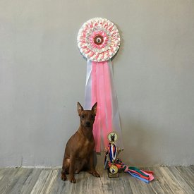 Марго и подарки.jpg (204.53 КБ, Просмотров: 6558) Марго и подарки.jpg