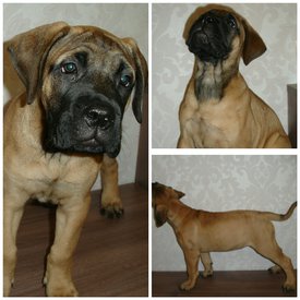 2018-01-07 00.31.36.jpg (667.51 КБ, Просмотров: 2214) 2018-01-07 00.31.36.jpg