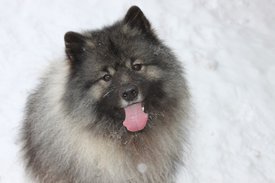 IMG-13842711cfc8171cd0e6e1e8f5d9d87c-V.jpg (132.3 КБ, Просмотров: 1954) IMG-13842711cfc8171cd0e6e1e8f5d9d87c-V.jpg