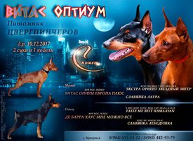 IMG-fe1fcc802972bd2830c95013995b10ab-V.jpg (188.66 КБ, Просмотров: 2752) IMG-fe1fcc802972bd2830c95013995b10ab-V.jpg