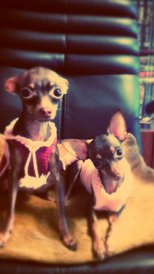 Фото 01.06.2013, 2 01 16.jpg (146.38 КБ, Просмотров: 2606) Фото 01.06.2013, 2 01 16.jpg