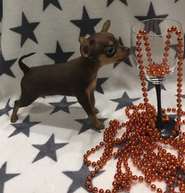 малышка 01.jpg (417.98 КБ, Просмотров: 2600) малышка 01.jpg