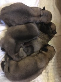 tQh1Yu5fBF8.jpg (111.47 КБ, Просмотров: 3446) tQh1Yu5fBF8.jpg