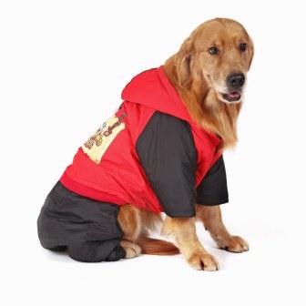 T2Q_KwXr0aXXXXXXXX_!!143428347.jpg_q90.jpg (10.98 КБ, Просмотров: 2474) T2Q_KwXr0aXXXXXXXX_!!143428347.jpg_q90.jpg