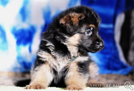 _5G6TwmNE.jpg (26.25 КБ, Просмотров: 1615) _5G6TwmNE.jpg