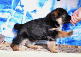 q7I7mPqB.jpg (191.79 КБ, Просмотров: 1615) q7I7mPqB.jpg