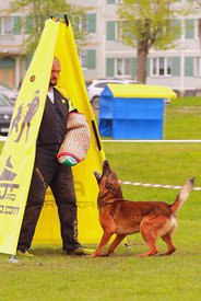 jcY84q5ty00.jpg (166.16 КБ, Просмотров: 5711) jcY84q5ty00.jpg