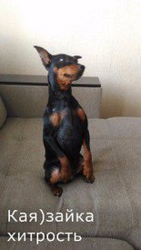 з хитрость.jpg (13.17 КБ, Просмотров: 6418) з хитрость.jpg