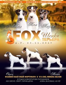 27604290_1592172540858855_990723356_o.jpg (69.59 КБ, Просмотров: 1864) 27604290_1592172540858855_990723356_o.jpg