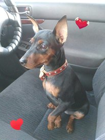 дора и серд.jpg (120.09 КБ, Просмотров: 6634) дора и серд.jpg