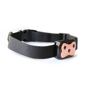 1664237778-1.jpg (165.07 КБ, Просмотров: 3340) 1664237778-1.jpg