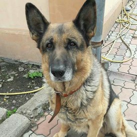 image.jpg (130.03 КБ, Просмотров: 2740) image.jpg