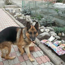 image (1).jpg (141.33 КБ, Просмотров: 2740) image (1).jpg