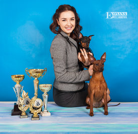 WEB Цвергпинчер 01.2018-32.jpg (801.32 КБ, Просмотров: 6063) WEB Цвергпинчер 01.2018-32.jpg