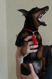 кая поет.jpg (63.55 КБ, Просмотров: 6558) кая поет.jpg