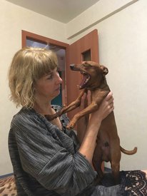 рол зевает.jpg (139.14 КБ, Просмотров: 6568) рол зевает.jpg