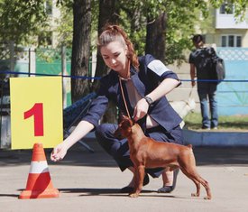 кузя на первом месте.jpg (92.26 КБ, Просмотров: 7037) кузя на первом месте.jpg