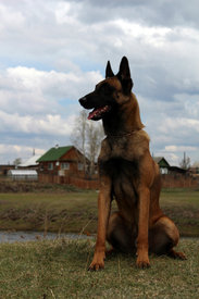 image-0-02-05-fc739a1e27d5b4c7bcaa113ee84460b7bd856c7963eed120e41ad98db0127ea4-V.jpg (98.75 КБ, Просмотров: 4624) image-0-02-05-fc739a1e27d5b4c7bcaa113ee84460b7bd856c7963eed120e41ad98db0127ea4-V.jpg