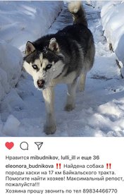 4F113F26-F303-4F4A-BE5E-76C90A433345.jpeg (216.7 КБ, Просмотров: 3313) 4F113F26-F303-4F4A-BE5E-76C90A433345.jpeg