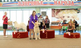 гордость России.jpg (153.44 КБ, Просмотров: 5639) гордость России.jpg