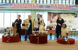 юниоры.jpg (162.54 КБ, Просмотров: 5311) юниоры.jpg