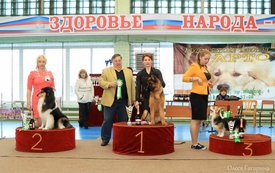 1 группа.jpg (177.54 КБ, Просмотров: 5639) 1 группа.jpg