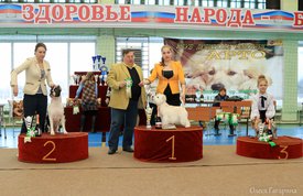 3 группа.jpg (178.16 КБ, Просмотров: 4569) 3 группа.jpg