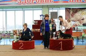 4 группа.jpg (163.29 КБ, Просмотров: 5638) 4 группа.jpg