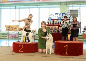 2.jpg (175.53 КБ, Просмотров: 4553) 2.jpg