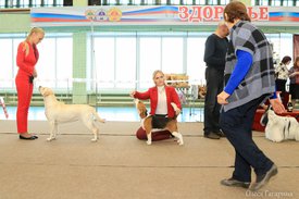 3.jpg (147.73 КБ, Просмотров: 4565) 3.jpg