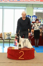 5.jpg (72.9 КБ, Просмотров: 5306) 5.jpg