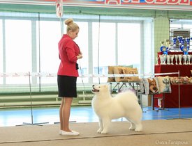 11.jpg (144.51 КБ, Просмотров: 4568) 11.jpg