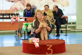 12.jpg (137.45 КБ, Просмотров: 5306) 12.jpg