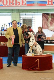 14.jpg (81.31 КБ, Просмотров: 4553) 14.jpg