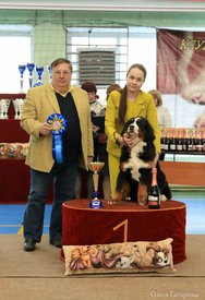 16.jpg (78.92 КБ, Просмотров: 5306) 16.jpg