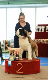 18.jpg (59.17 КБ, Просмотров: 4559) 18.jpg