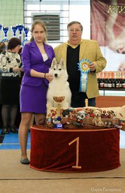 19.jpg (73.9 КБ, Просмотров: 5306) 19.jpg