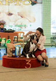 20.jpg (67.77 КБ, Просмотров: 4565) 20.jpg