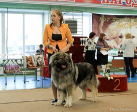 24.jpg (188.56 КБ, Просмотров: 4561) 24.jpg