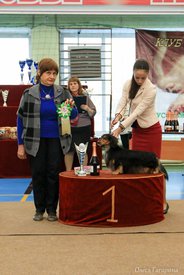 27.jpg (75.75 КБ, Просмотров: 5635) 27.jpg