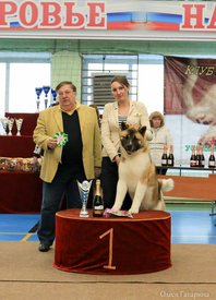 28.jpg (80.1 КБ, Просмотров: 5306) 28.jpg