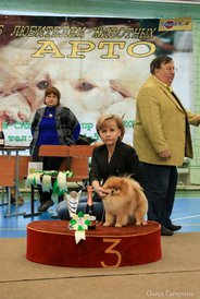 29.jpg (81.42 КБ, Просмотров: 5635) 29.jpg