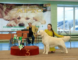 32.jpg (164.7 КБ, Просмотров: 4568) 32.jpg